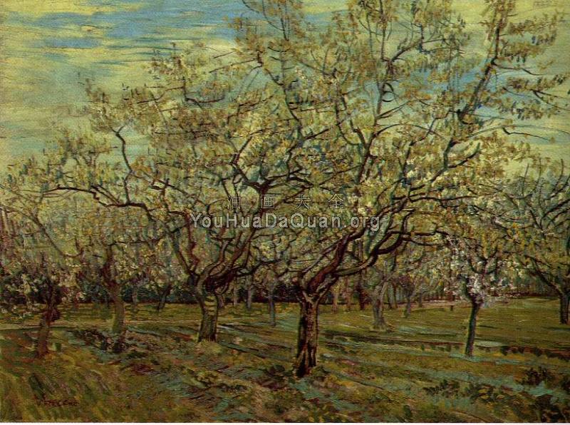 果园中盛开的李子树 - 文森特·威廉·梵高